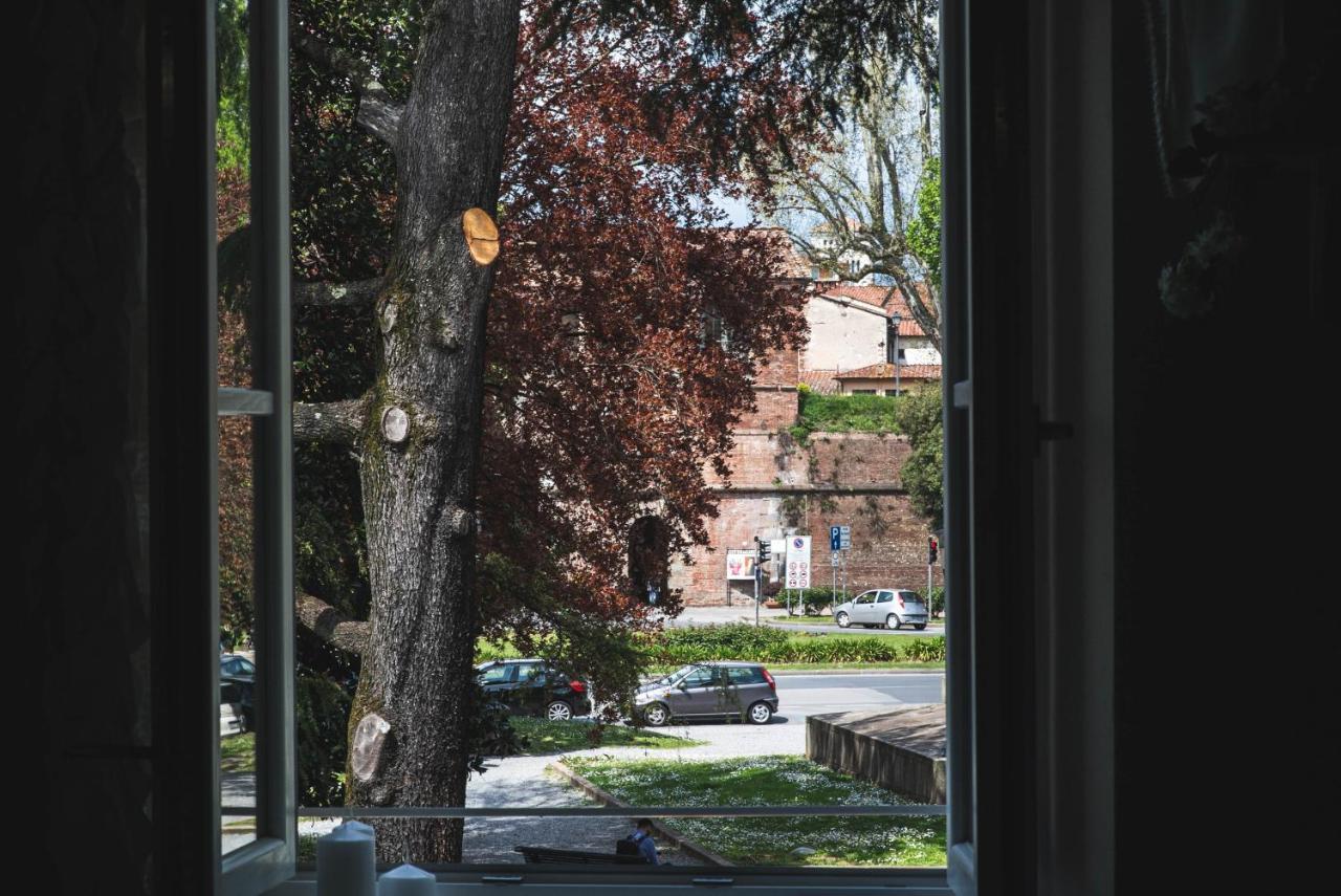 Belvedere Luxury Apartment, View On The Lucca Walls Eksteriør bilde